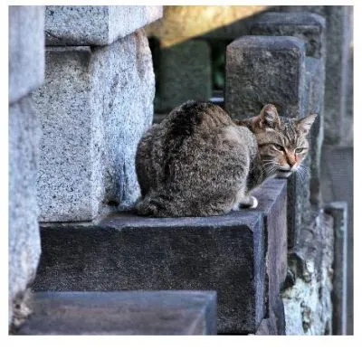 幽霊やお化けを見る人・見ない人の違いについて